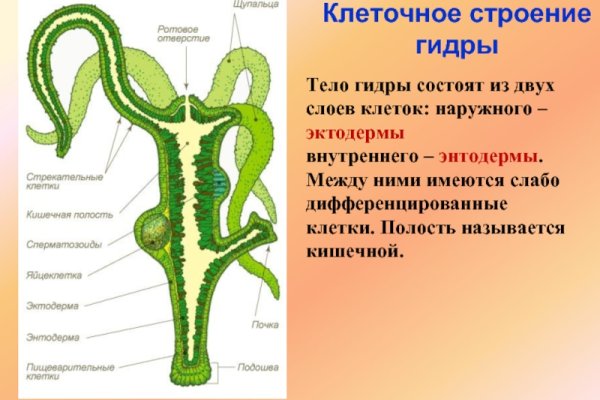 Как зарегистрироваться на кракене из россии